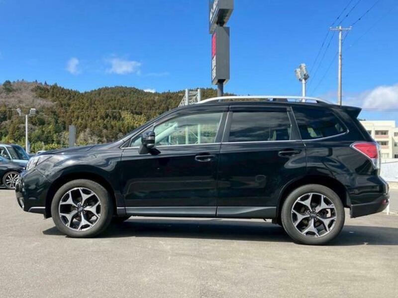 FORESTER