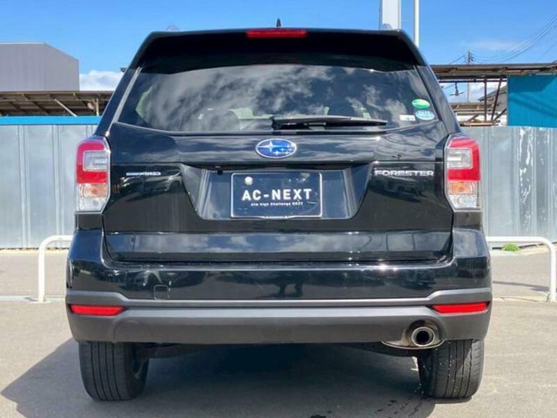 FORESTER