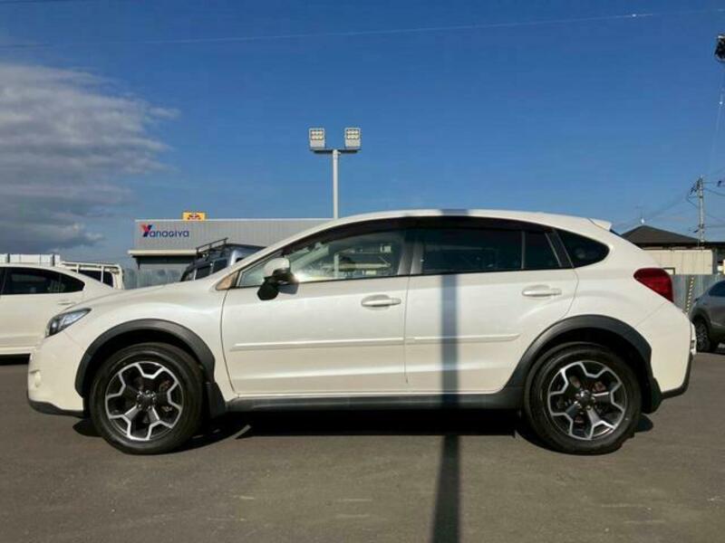 XV