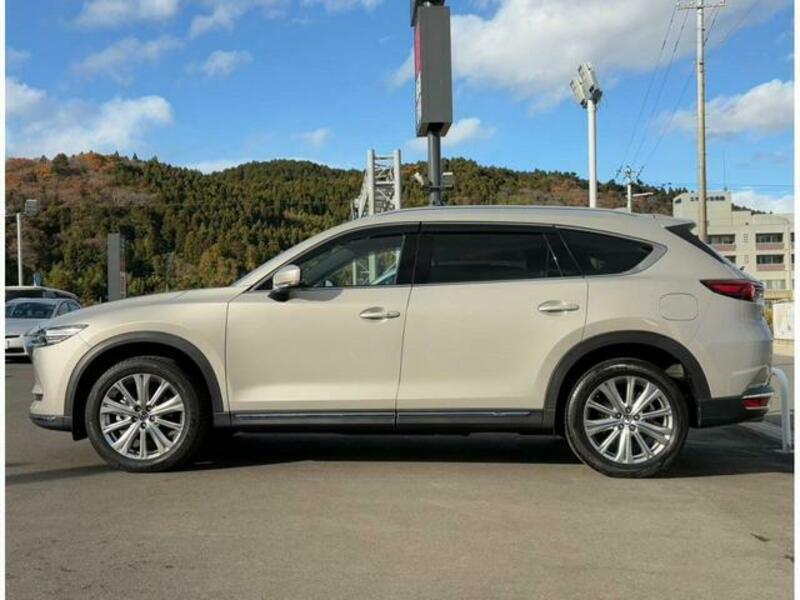 CX-8