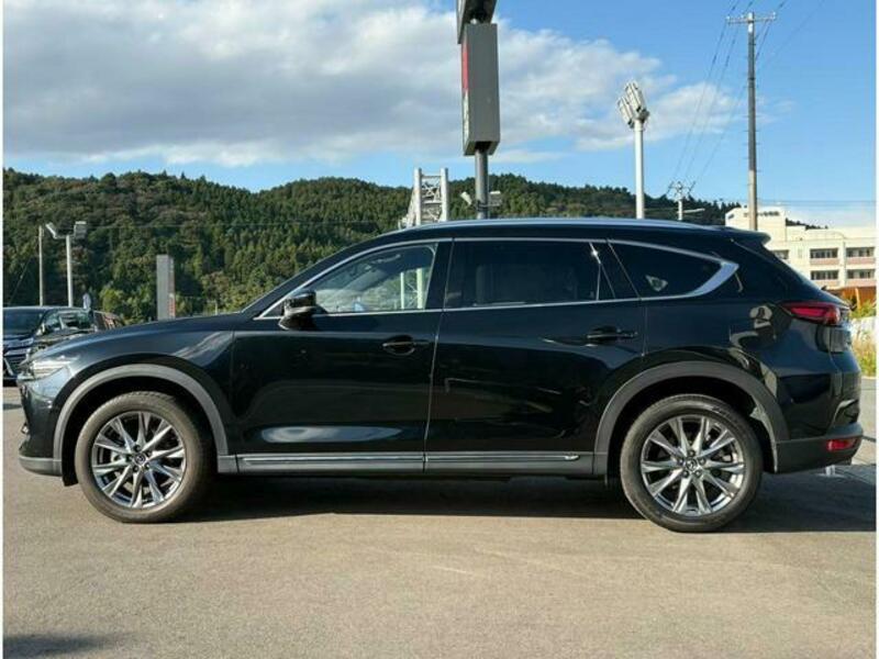 CX-8