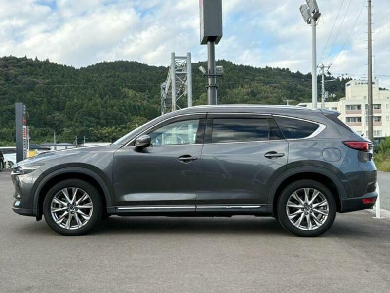 CX-8
