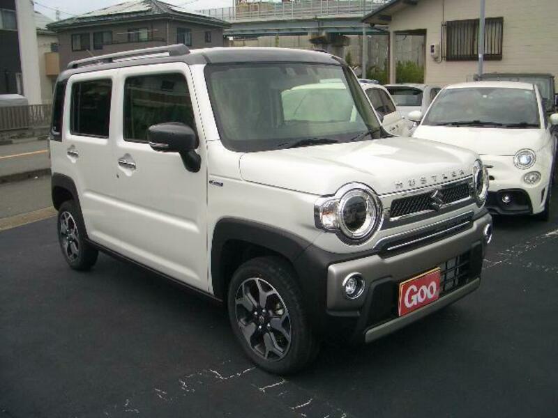 SUZUKI HUSTLER