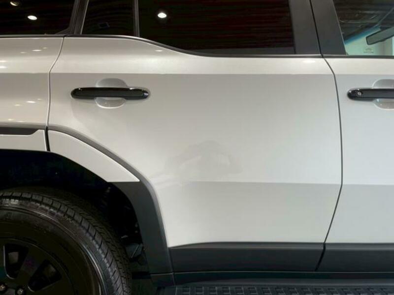 LAND CRUISER 250