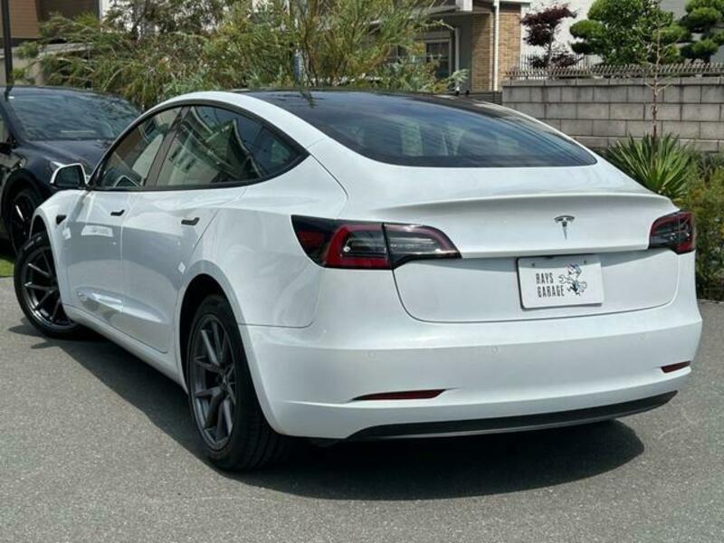 MODEL 3