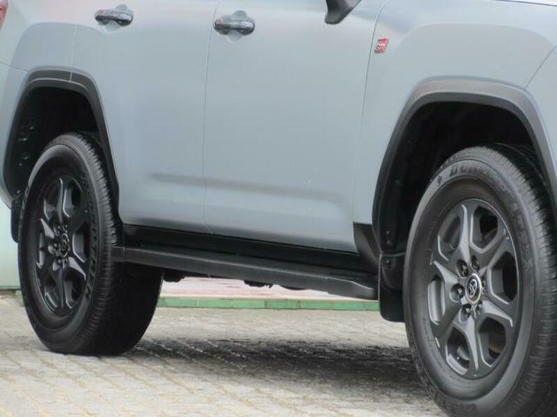 LAND CRUISER