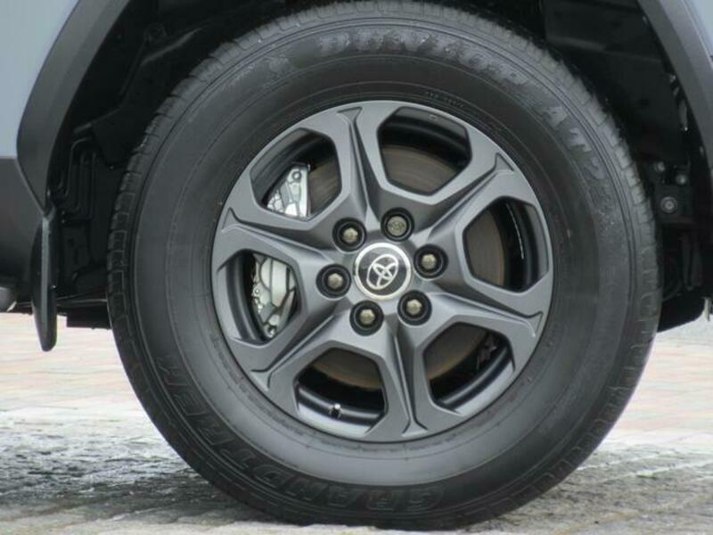 LAND CRUISER