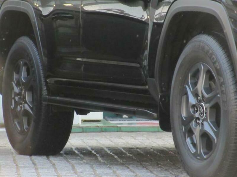 LAND CRUISER