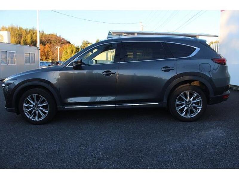 CX-8