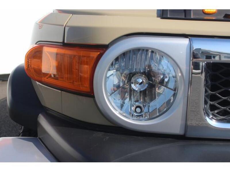 FJ CRUISER