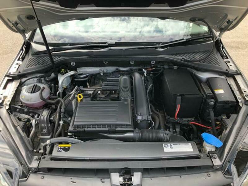 GOLF VARIANT