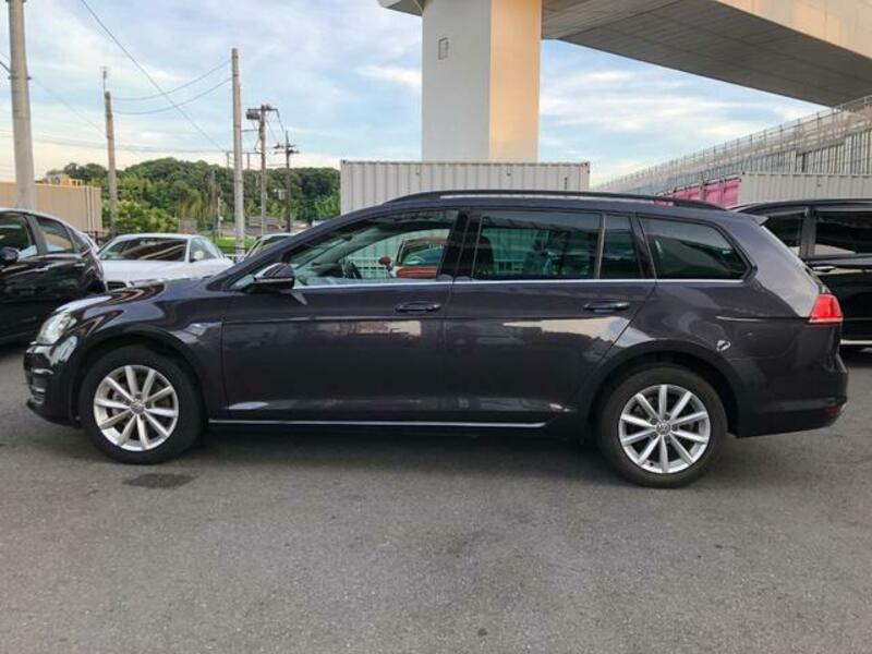 GOLF VARIANT