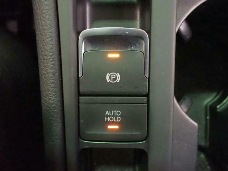 GOLF VARIANT