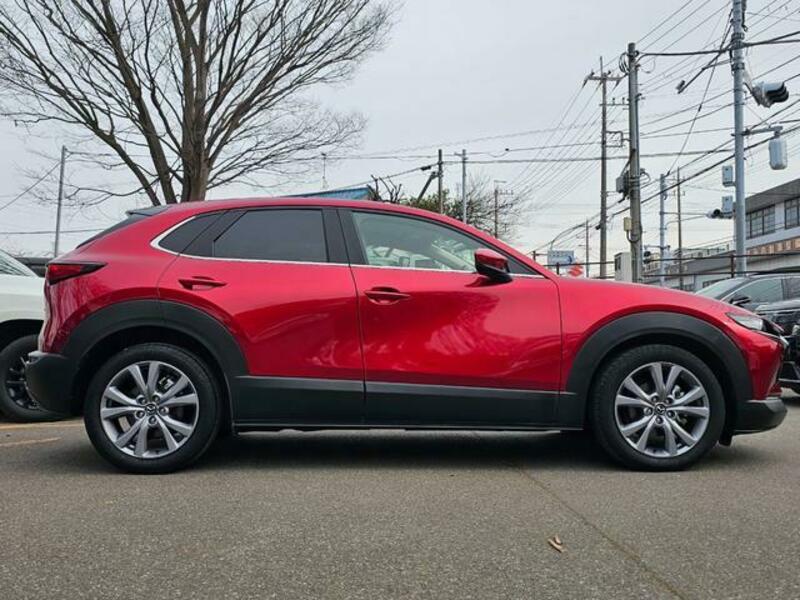 CX-30
