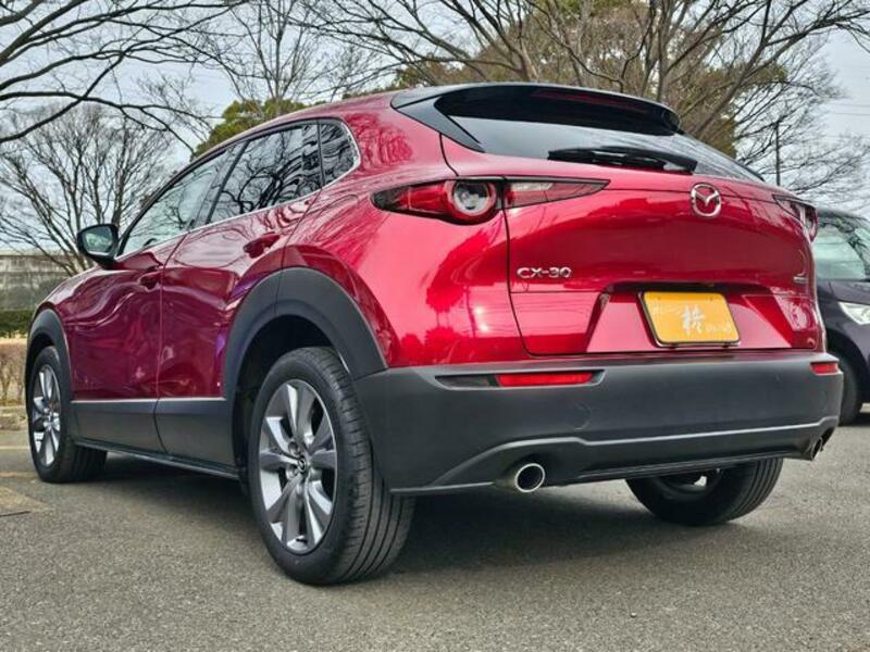 CX-30