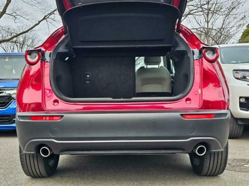 CX-30