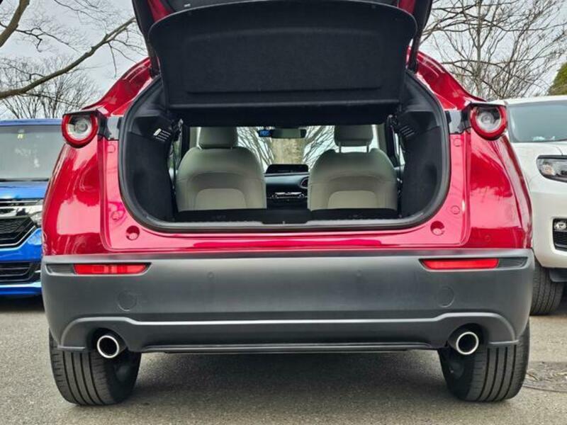 CX-30