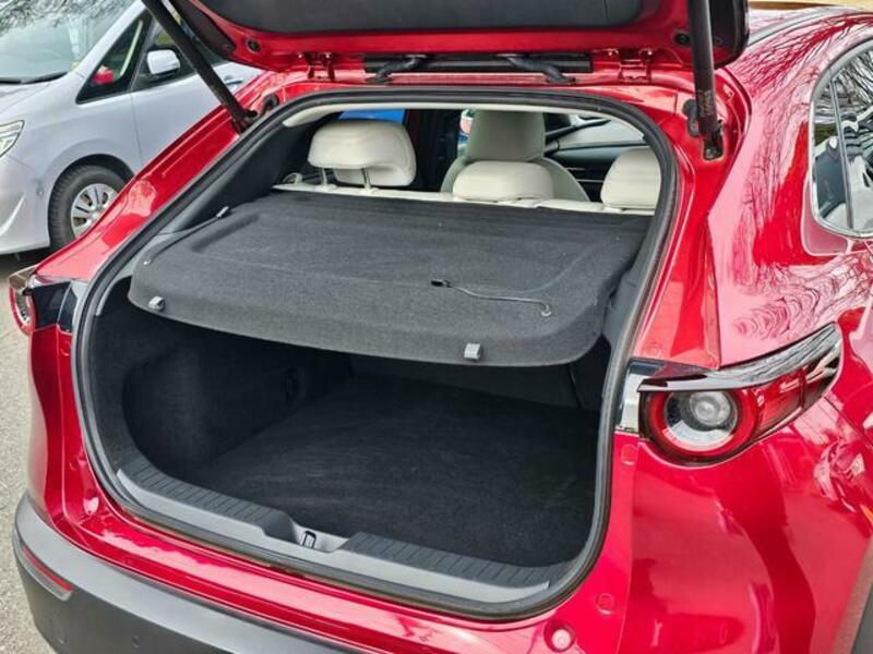 CX-30