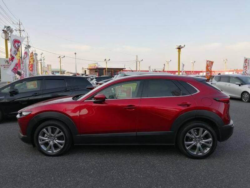 CX-30