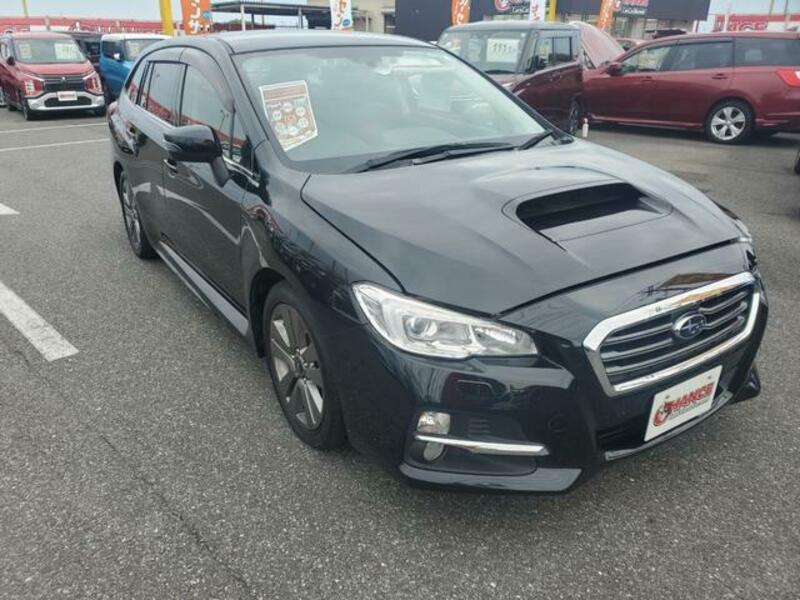 LEVORG