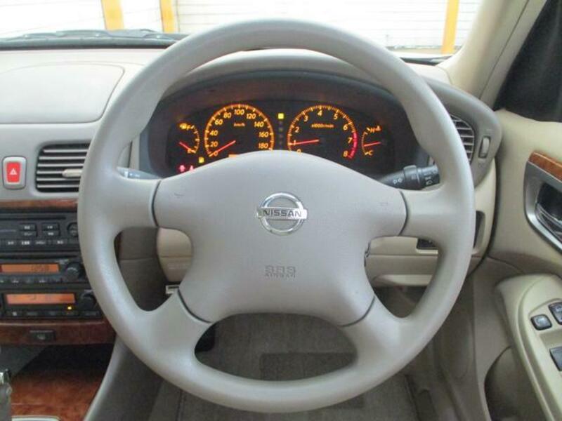 BLUEBIRD SYLPHY