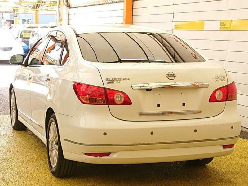 BLUEBIRD SYLPHY