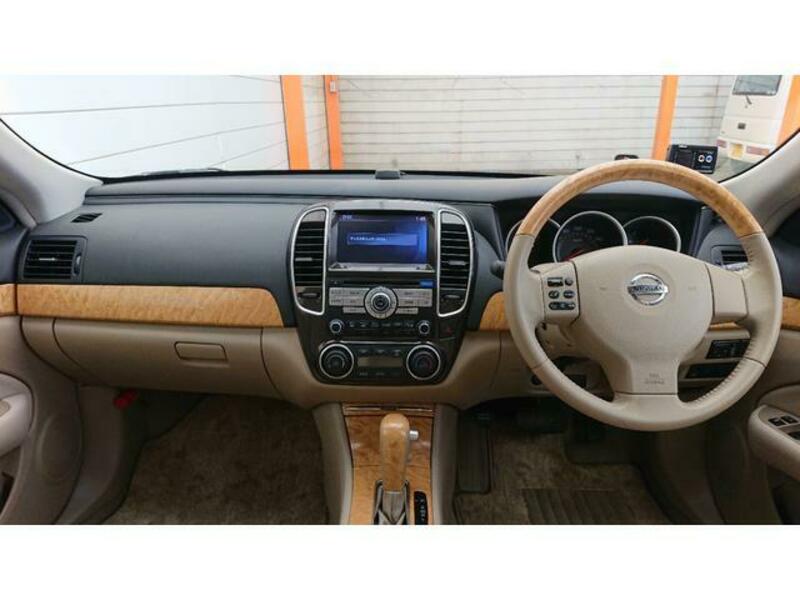 BLUEBIRD SYLPHY