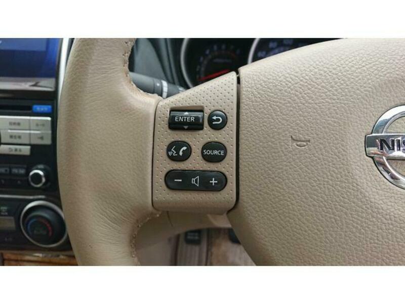 BLUEBIRD SYLPHY