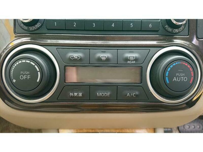 BLUEBIRD SYLPHY
