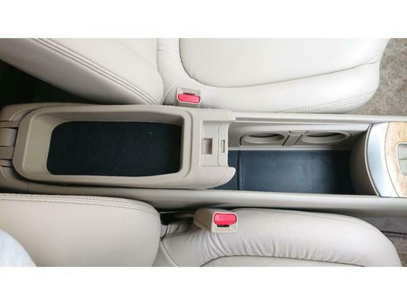 BLUEBIRD SYLPHY