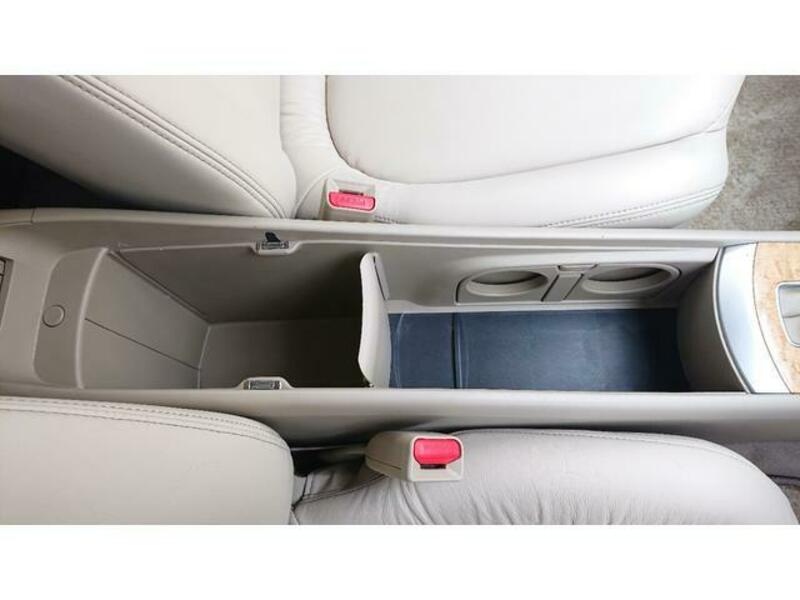 BLUEBIRD SYLPHY