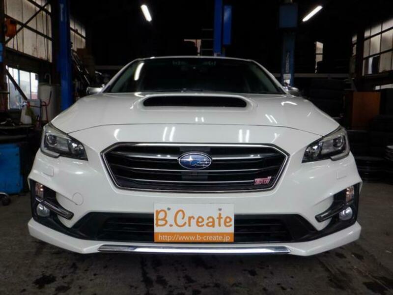LEVORG