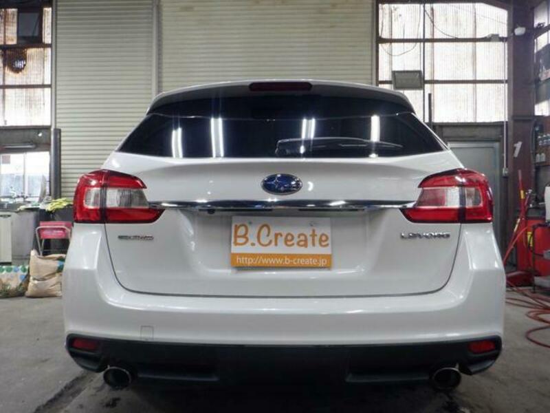 LEVORG