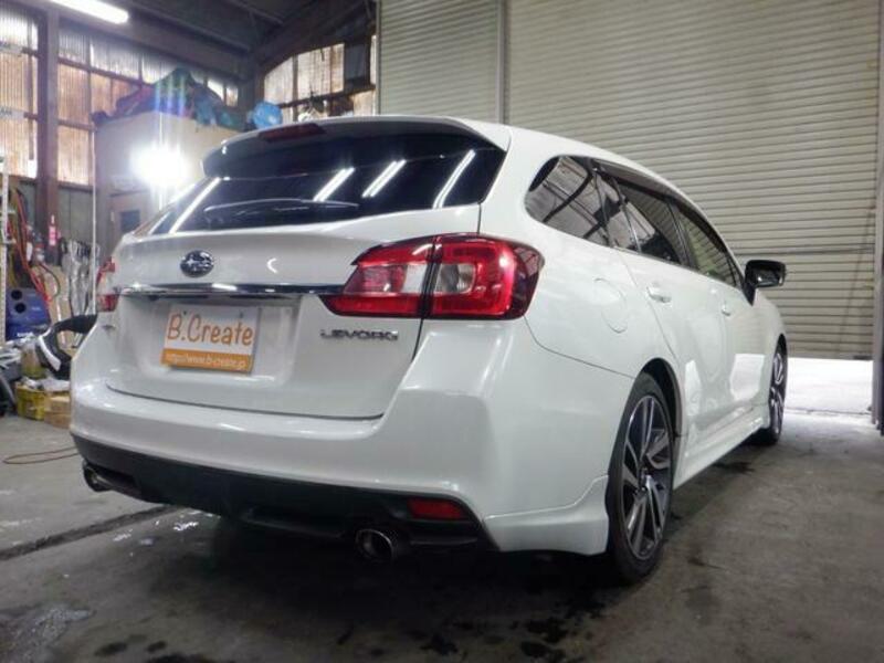 LEVORG