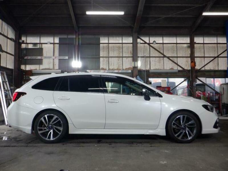 LEVORG