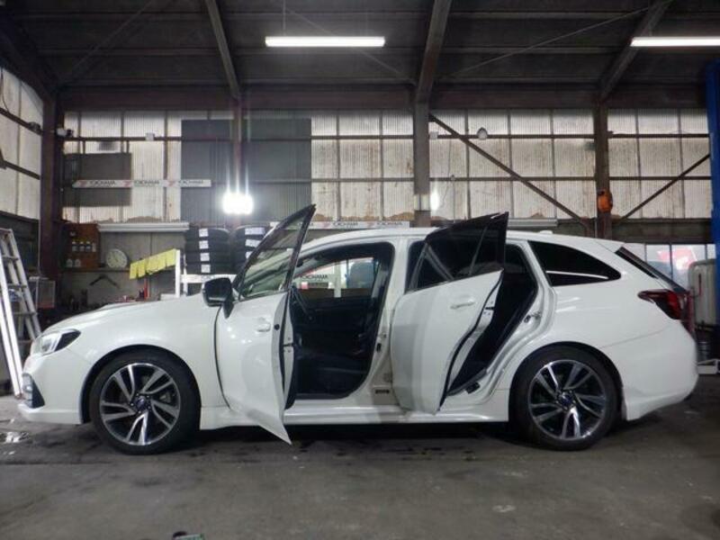 LEVORG