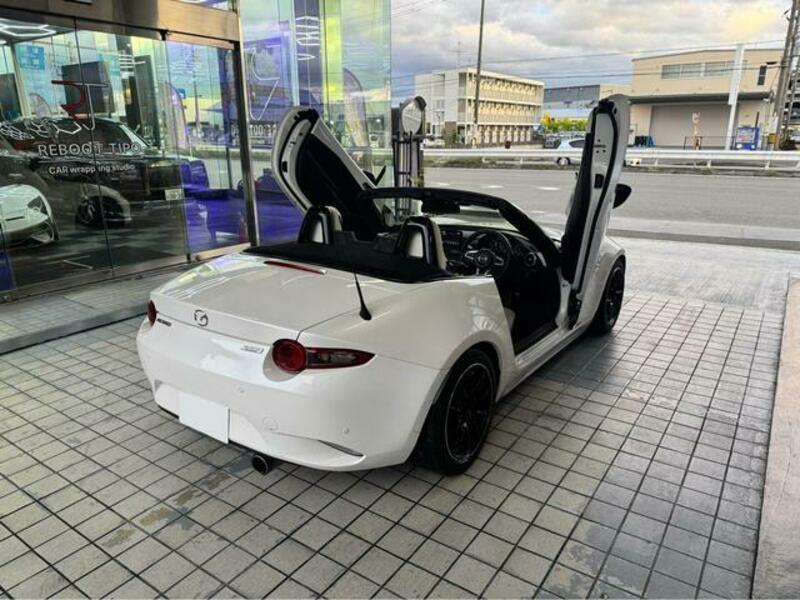 ROADSTER