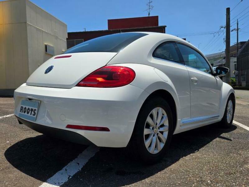 THE BEETLE