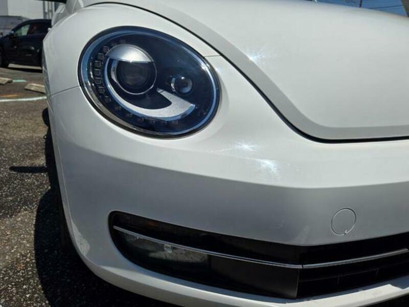 THE BEETLE