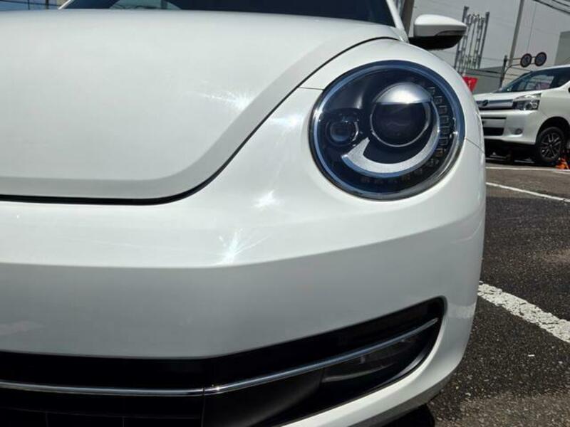 THE BEETLE
