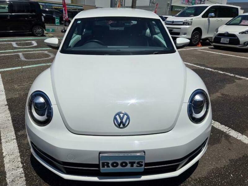 THE BEETLE