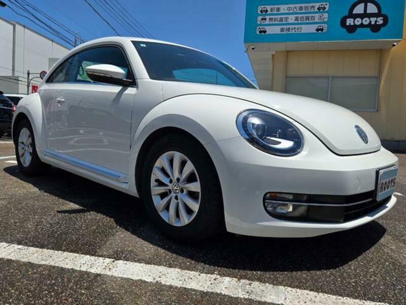 THE BEETLE