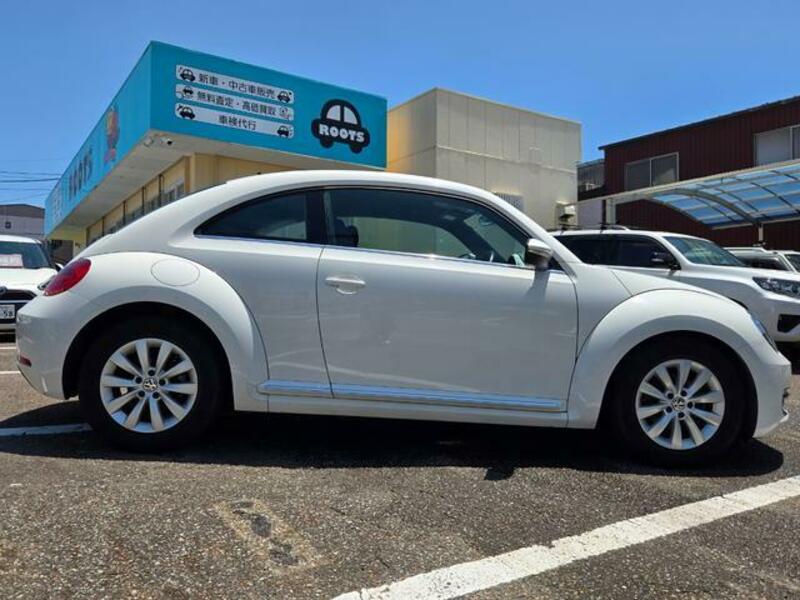 THE BEETLE