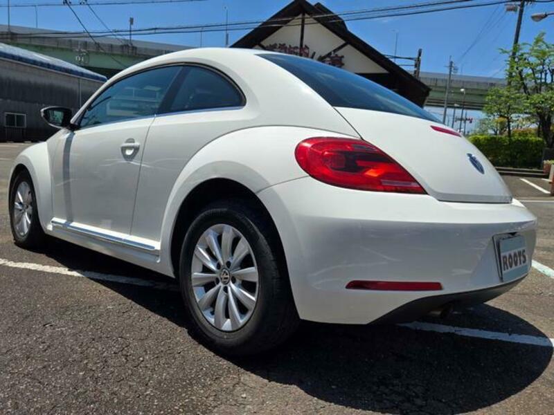 THE BEETLE
