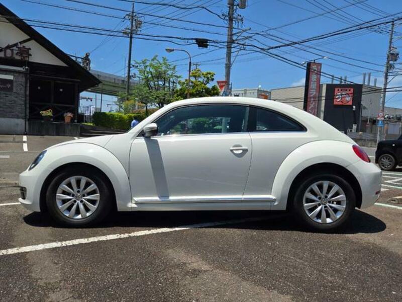 THE BEETLE