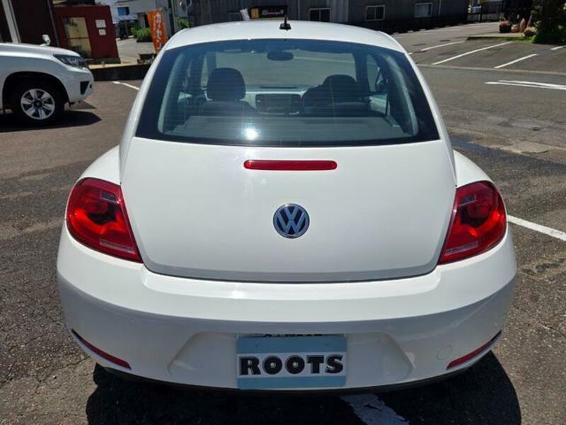 THE BEETLE