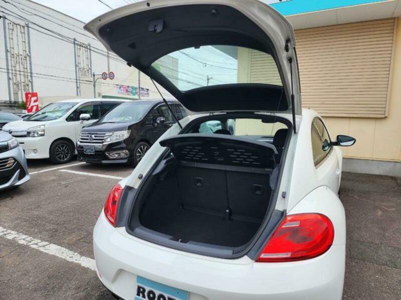 THE BEETLE