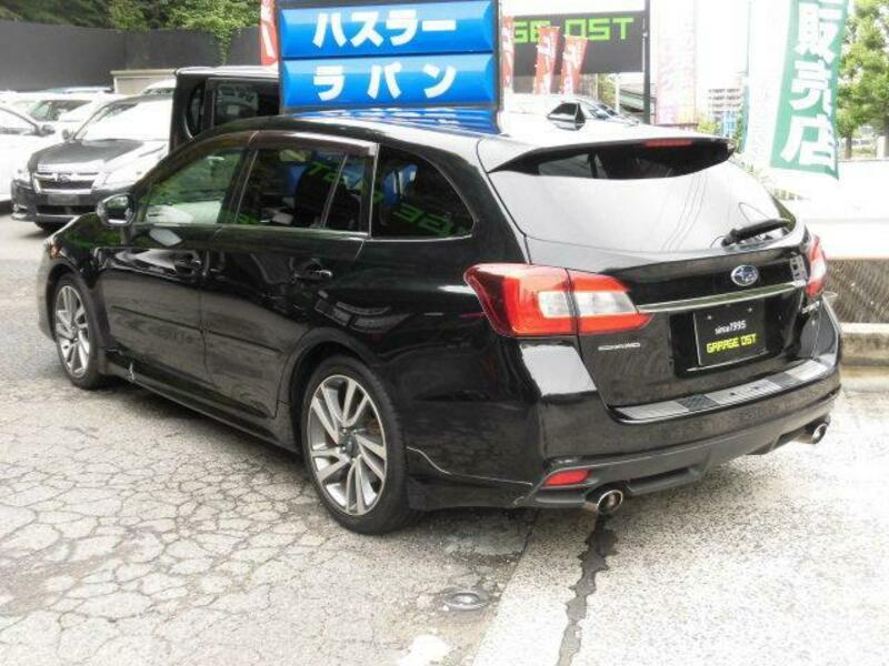 LEVORG