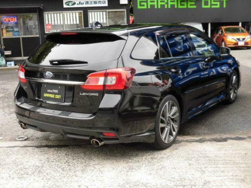 LEVORG
