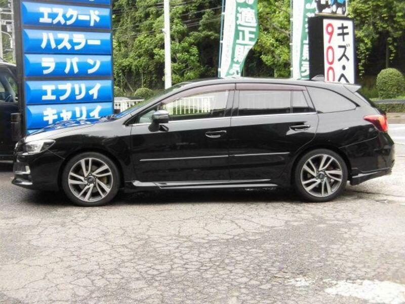 LEVORG